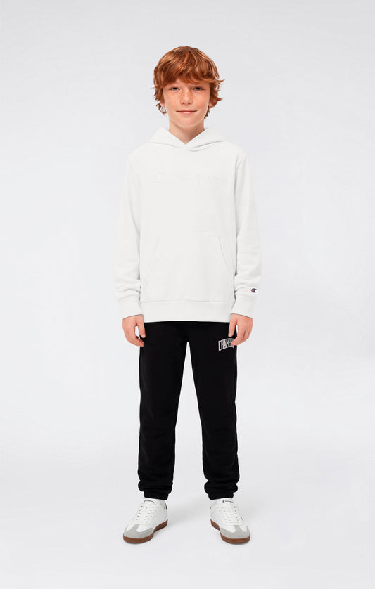 Boys' Lightweight Hooded Sweatshirt with Tonal Embroidered Maxi Logo Icons