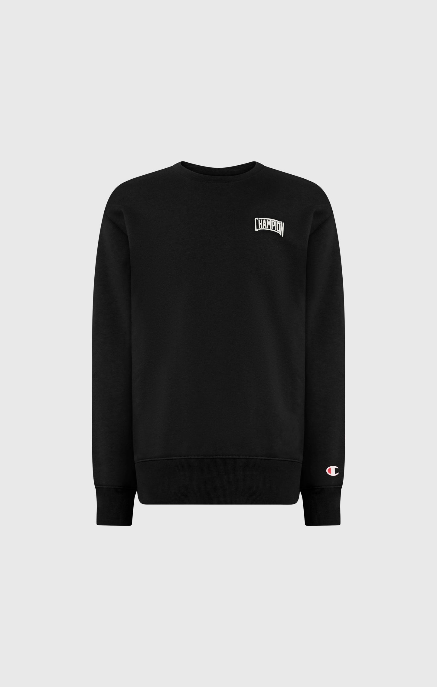 Boys' Crewneck Sweatshirt with Puff Print
