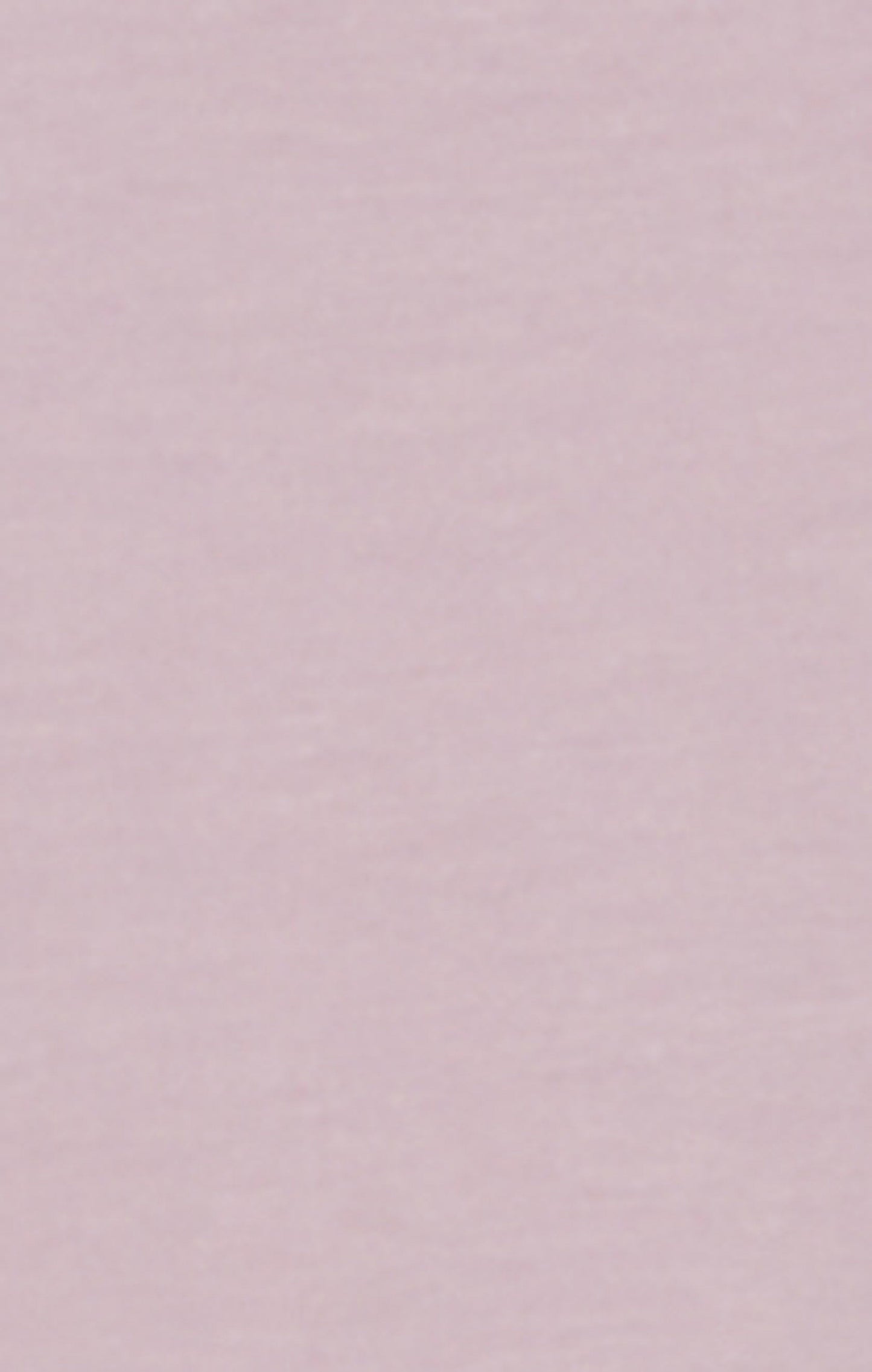 Men's Crewneck T-Shirt With Puff Print Logo